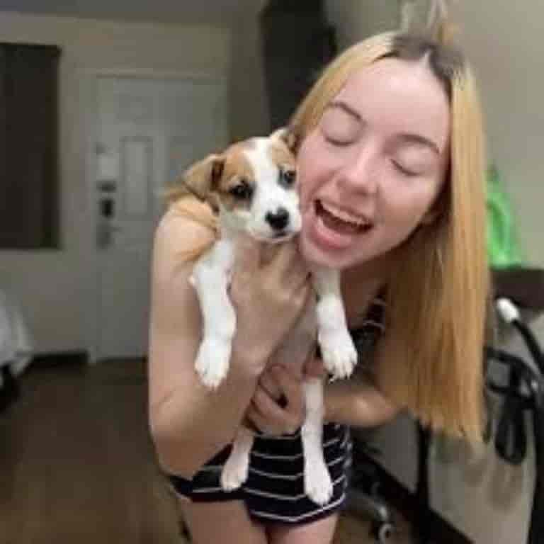 denise frazier dog video (4)